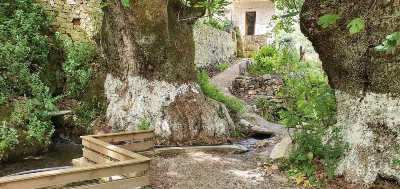 Platanus House Βίλα Meskla Εξωτερικό φωτογραφία